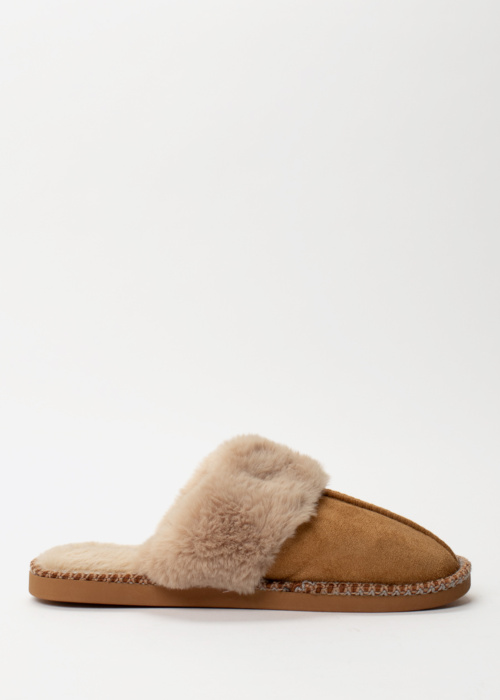 Scandi sussid