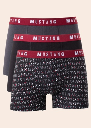 Боксеры в коробке 3 пары Печать Words Mustang