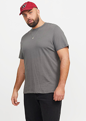 Футболка Bradley Jack & Jones Plus