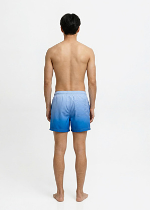 Пляжные шорты Maui Horizon Jack & Jones