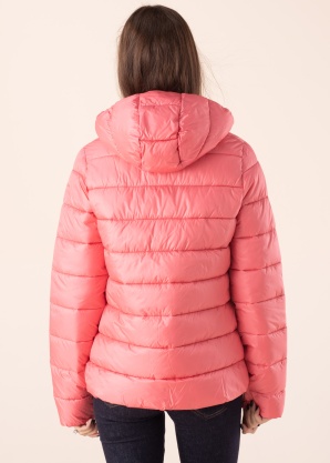 Champion kevad-sügisjope