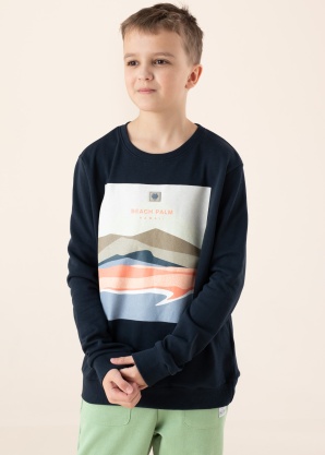 Кофта Friksen Name It Kids