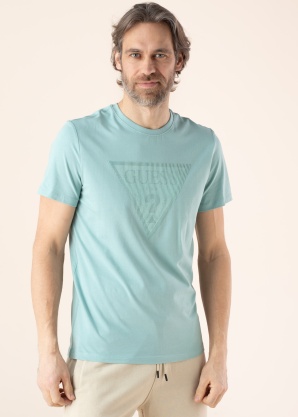 Футболка Shiny Guess