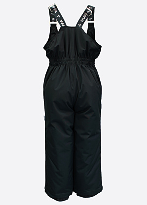 Зимние штаны Flinn Huppa