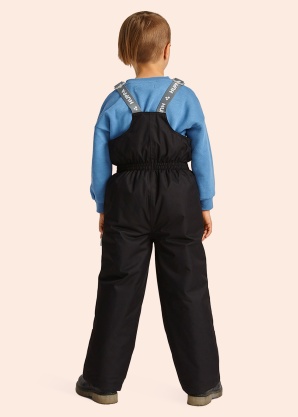 Зимние штаны Flinn Huppa