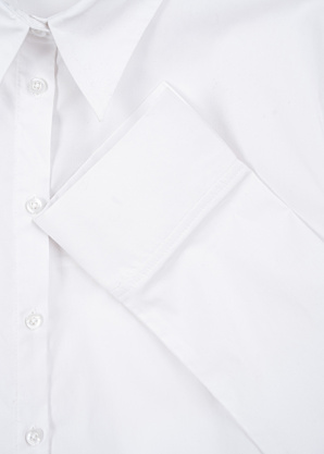 Reporter Young triiksärk