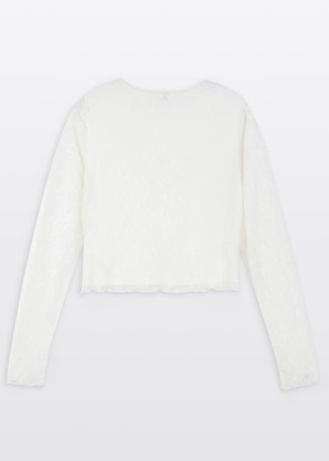 Reporter Young pluus