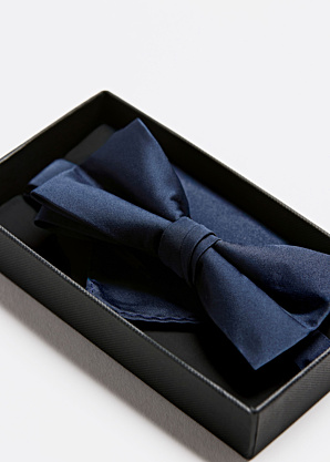 Бабочка и платок в подарочной коробке Lindbergh