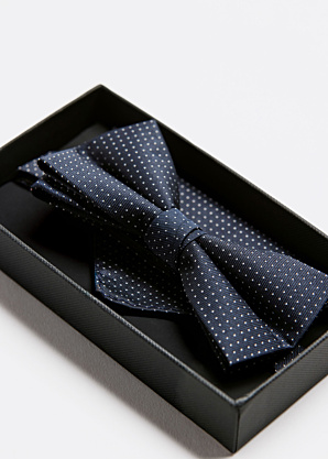 Бабочка и платок в подарочной коробке Lindbergh