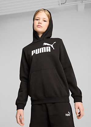 Кофта Ess No.1 логотип Goodie Fl Puma