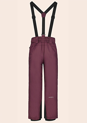 Зимние штаны Icepeak