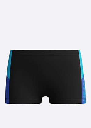 Speedo ujumispüksid Dive