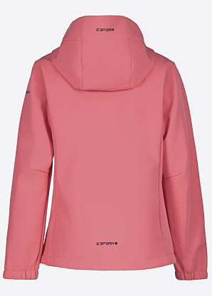 Весенне-осенняя спортивная куртка Kobryn SCH Icepeak