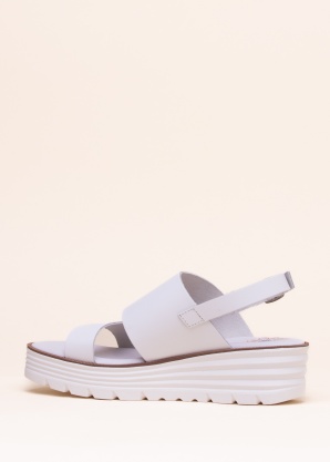 Musse & Cloud lahtised kingad Flavia