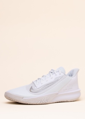 Баскетбольные кроссовки Precision Vii Nike