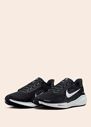 Беговые кроссовки Air Zoom Pegasus 41 Nike
