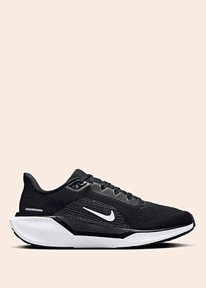 Беговые кроссовки Air Zoom Pegasus 41 Nike