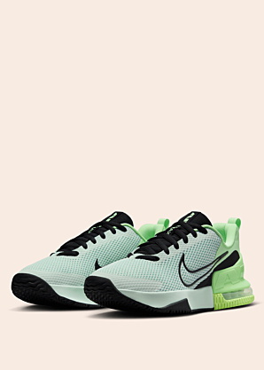 Тренировочные кроссовки Air Max Alpha 6 Nike