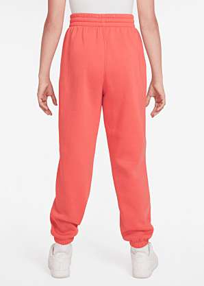 Спортивные штаны Nike