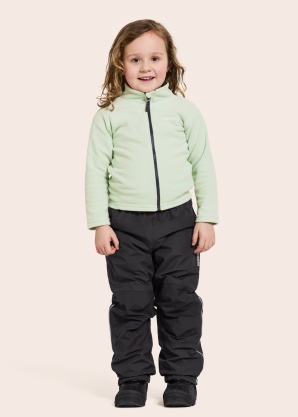 Зимние штаны Narvi 2 Didriksons