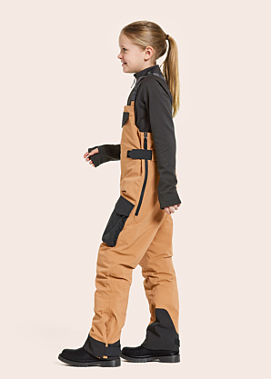 Зимние штаны Fosfat Didriksons