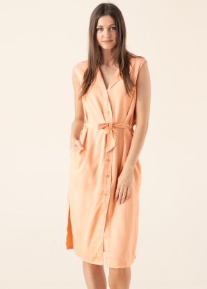 Pepe Jeans särkkleit Maggie