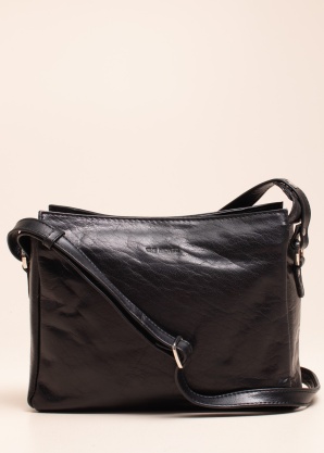 Сумка The Monte