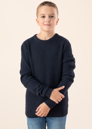 Jack & Jones kampsun Brody