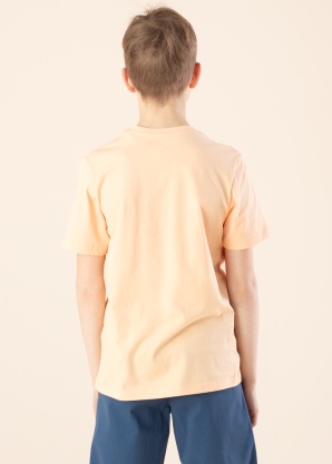 Jack & Jones T-särk Hill