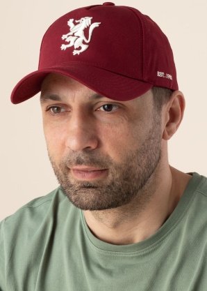 Кепка Gryffindor Diverse