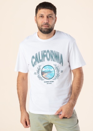 Футболка Dessert Jack & Jones