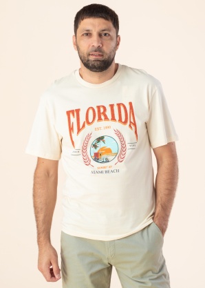 Футболка Dessert Jack & Jones