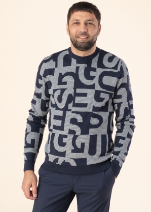 Свитер Denny Guess