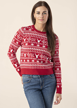 Only jõulukampsun Xmas