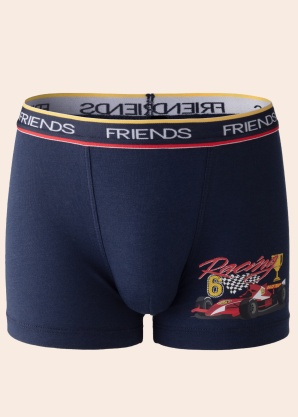 Боксеры Friends