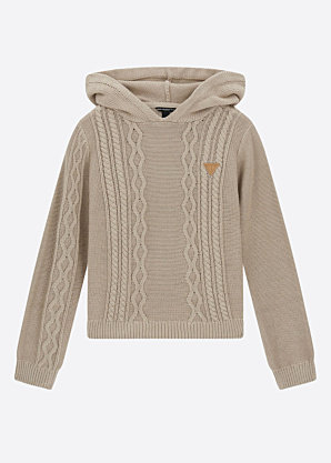 Guess sviiter Hooded