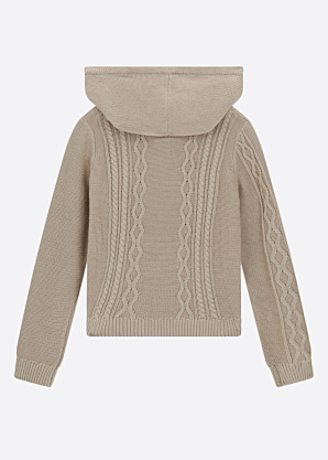 Guess sviiter Hooded