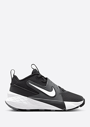 Nike korvpallijalatsid Team Hustle 12 Ps