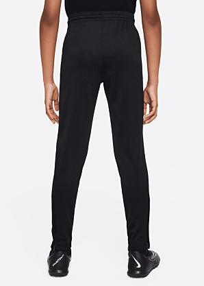 Спортивные штаны Academy Nike