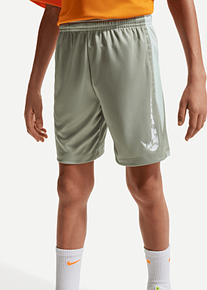 Nike püksid Trphy23