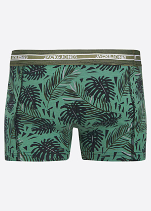 Боксеры Ezra Jack & Jones