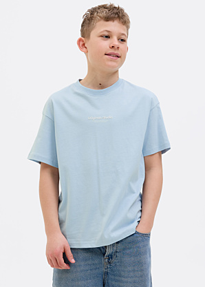 Футболка Vesterbro Jack & Jones