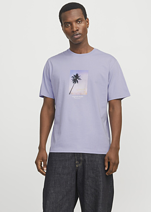 Футболка Vesterbro Jack & Jones