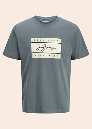 Футболка Frederiksberg Jack & Jones