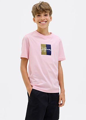 Футболка Frederiksberg Jack & Jones