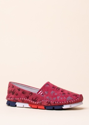 Cosmos vabaajajalatsid