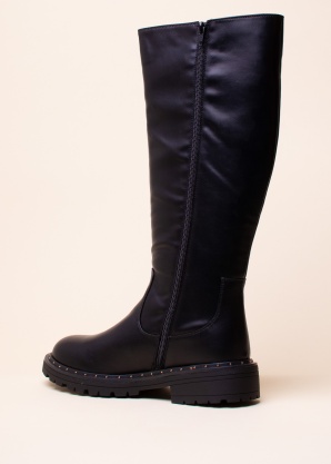 Сапоги Vanessa 650 Liu-Jo