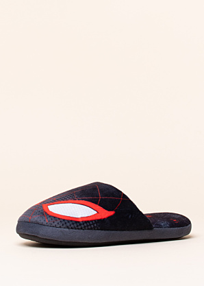 Leomil sussid Spiderman