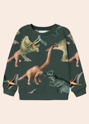 Name It Mini pusa Kasmir