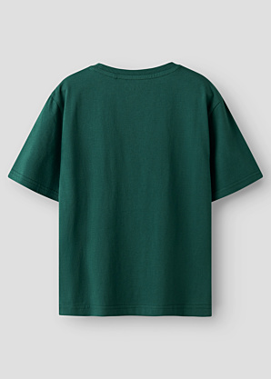 Name It Kids T-särk Veldo